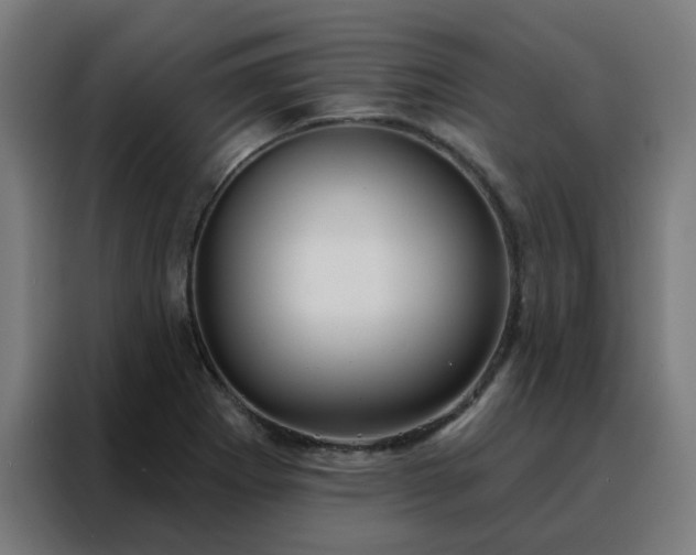X0000088181273200705221635