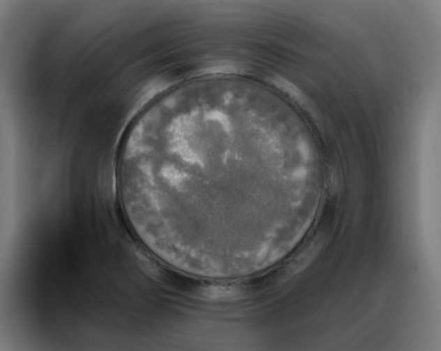 X0000088181274200705221635