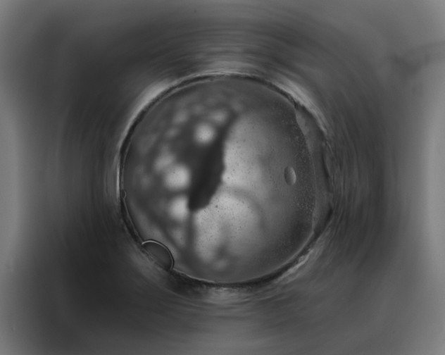 X0000088181275200705221635