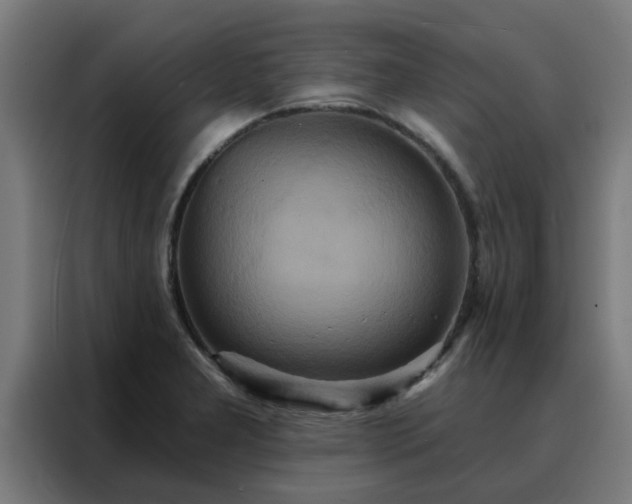 X0000088181277200705221635