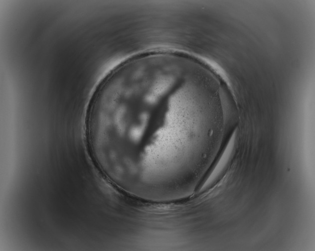 X0000088181279200705221635
