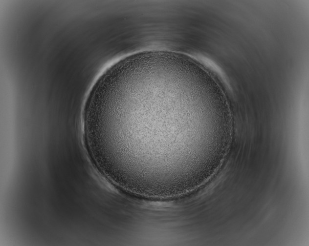 X0000088181280200705221635