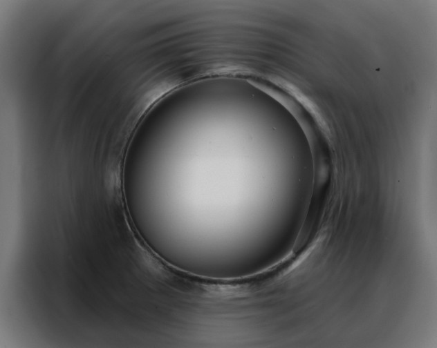 X0000088181281200705221635