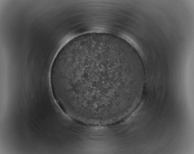 X0000088181283200705221635