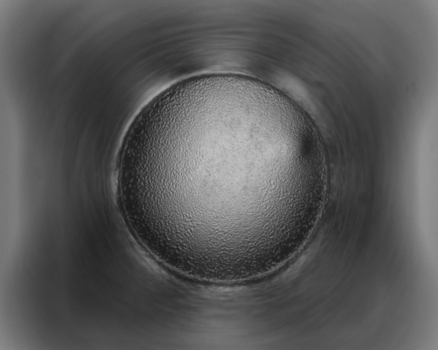 X0000088181284200705221635
