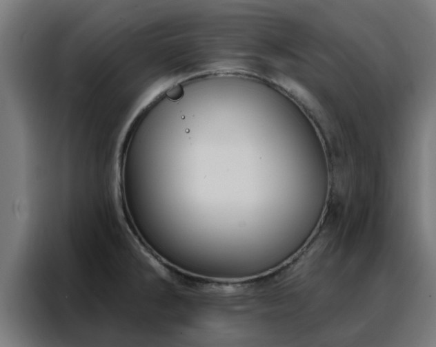 X0000088181286200705221635
