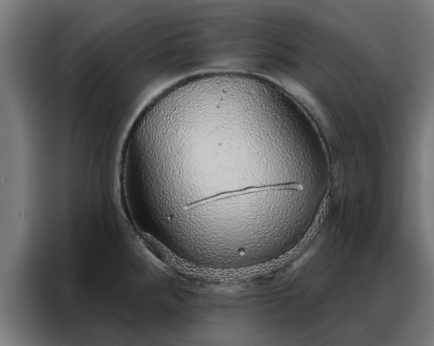 X0000088181288200705221635