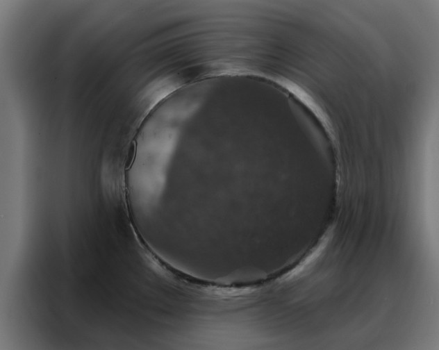 X0000088181289200705221634