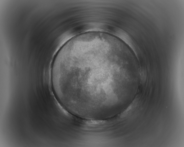 X0000088181290200705221634