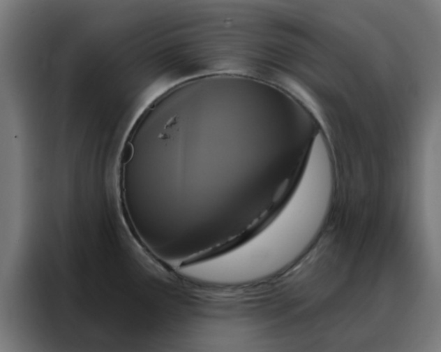 X0000088181291200705221634