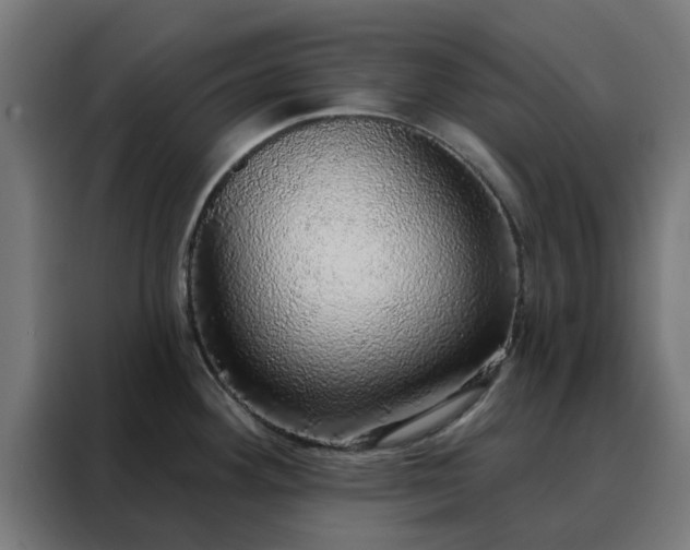 X0000088181292200705221634