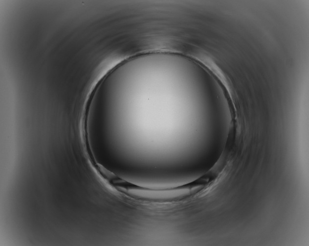 X0000088181293200705221634