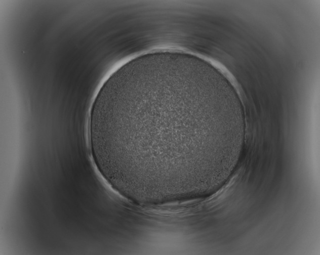 X0000088181295200705221634