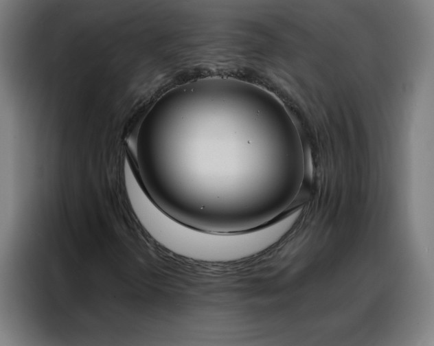 X0000088181298200705221634