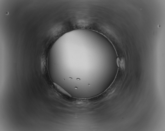 X0000088181299200705221634