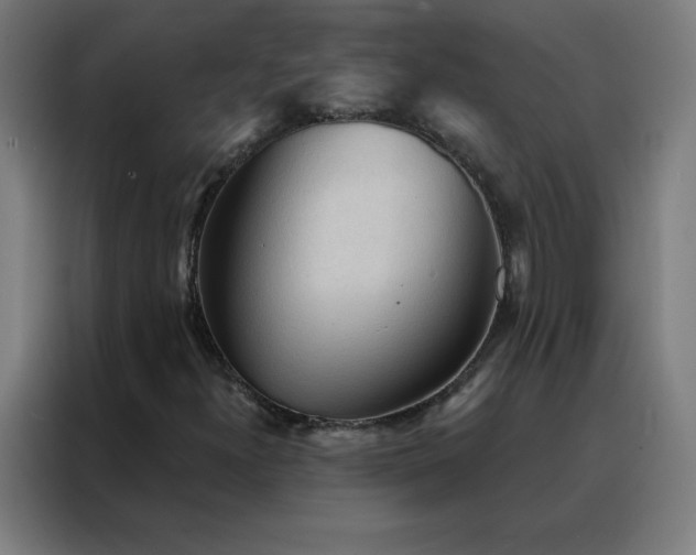 X0000088181300200705221634