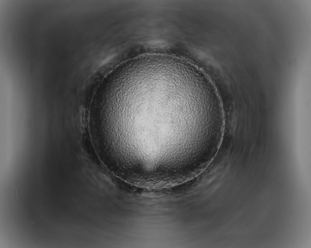 X0000088181301200705221634