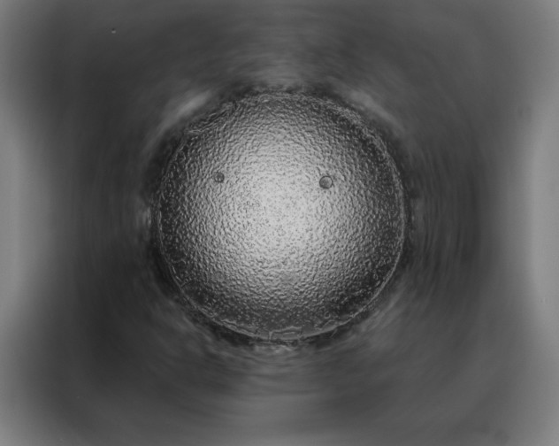 X0000088181302200705221634