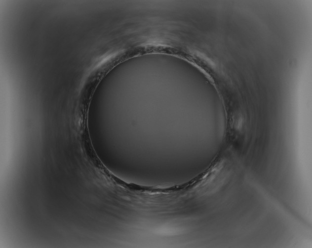 X0000088181303200705221634