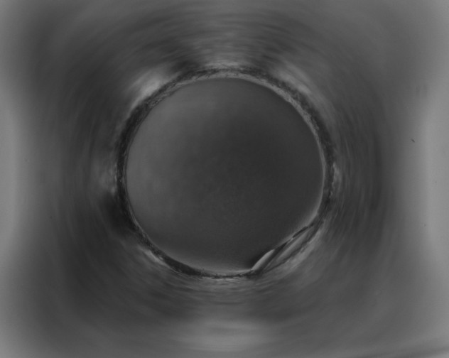 X0000088181306200705221634