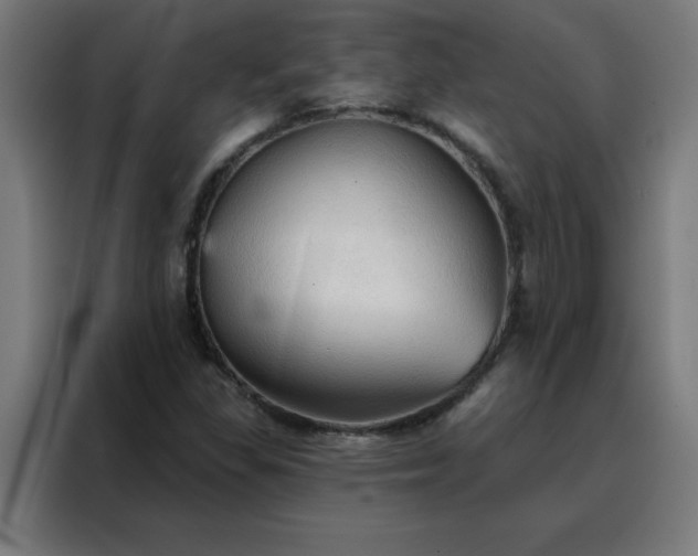 X0000088181309200705221634