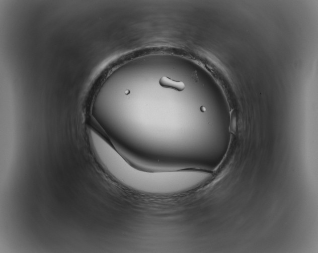 X0000088181310200705221634