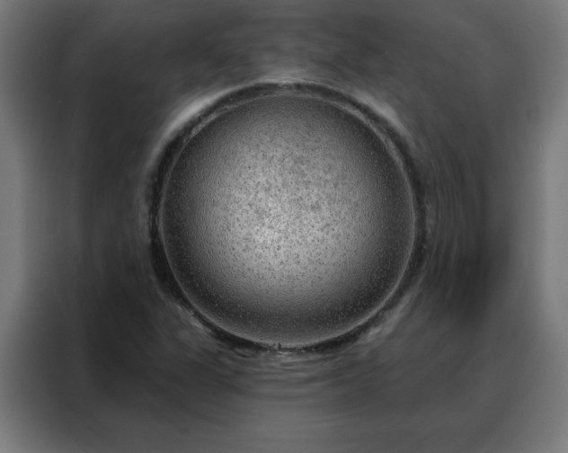 X0000088181311200705221634