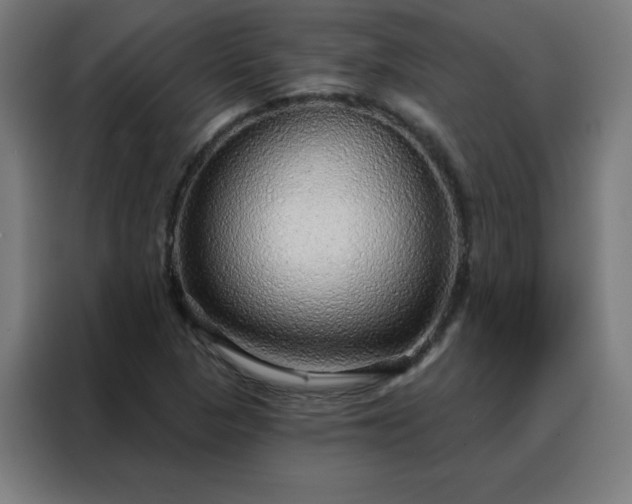 X0000088181313200705221634