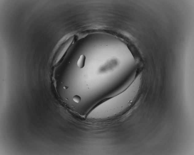 X0000088181314200705221634