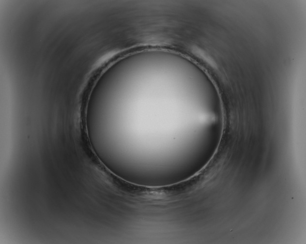 X0000088181315200705221634