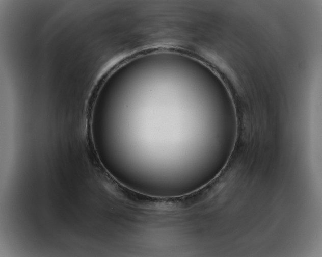 X0000088181316200705221634