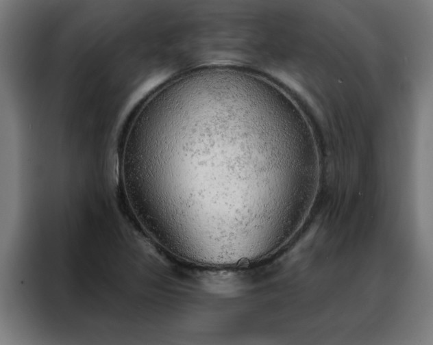 X0000088181317200705221634