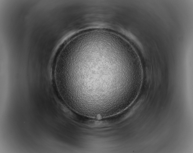 X0000088181318200705221634