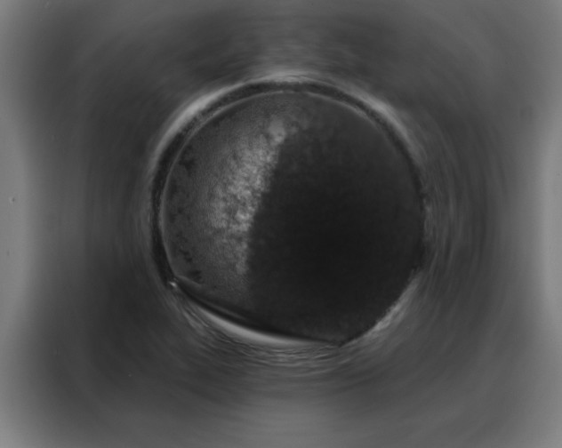 X0000088181319200705221634