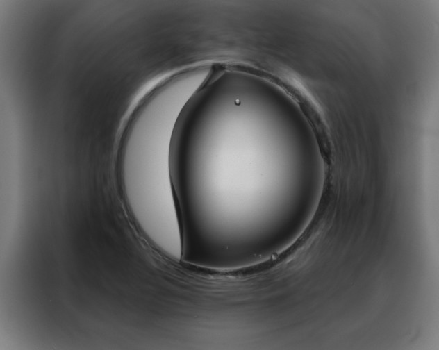 X0000088181320200705221634