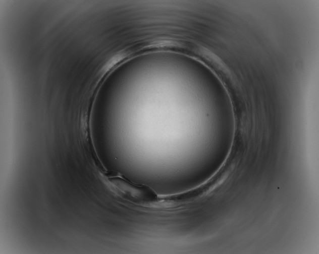 X0000088181321200705221634