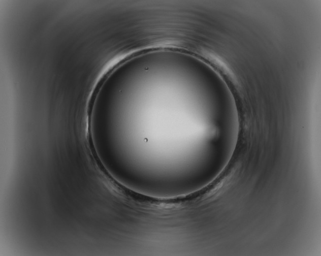 X0000088181324200705221634