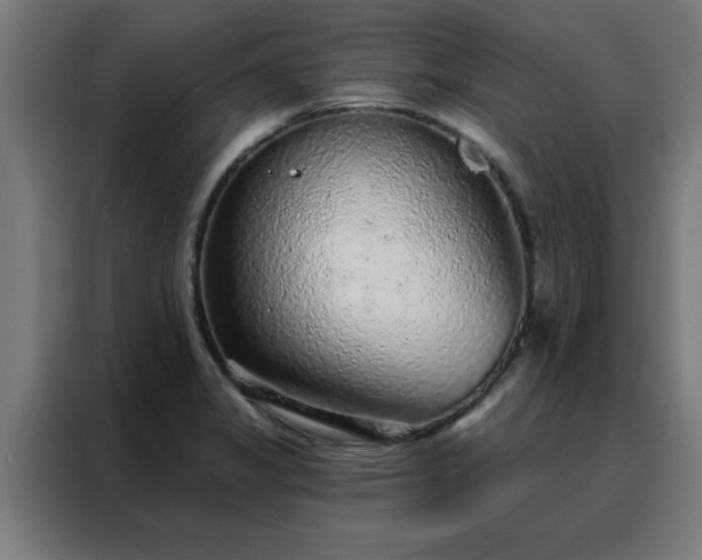 X0000088181325200705221634