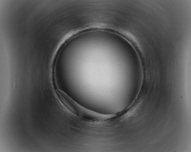 X0000088181326200705221634