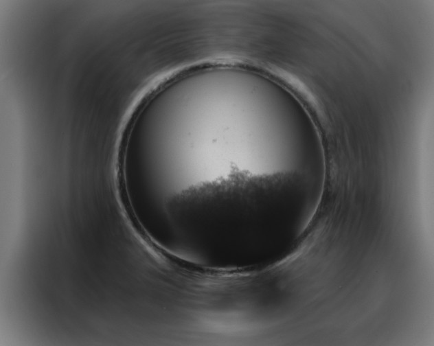 X0000088181327200705221634