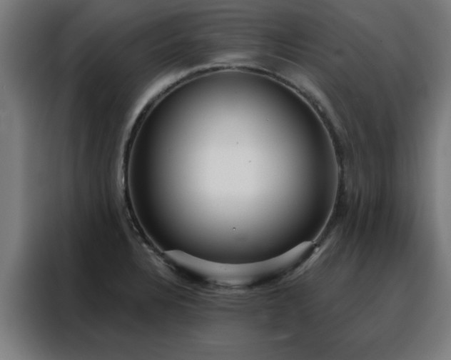X0000088181328200705221634