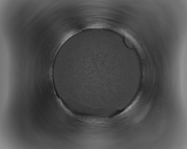 X0000088181329200705221634