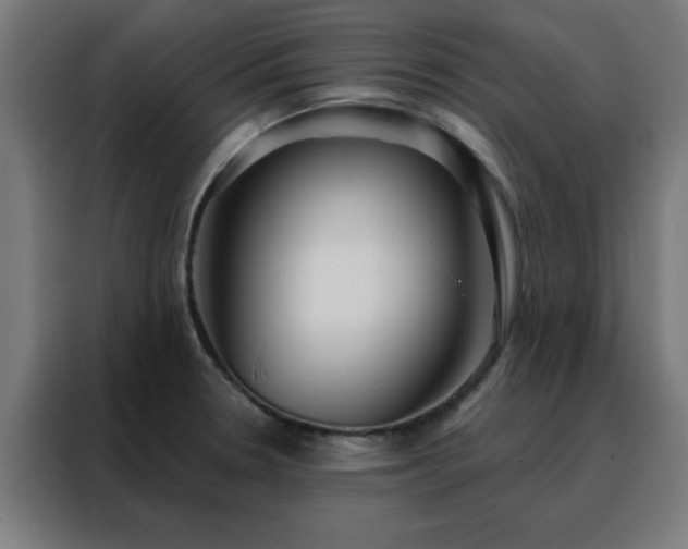X0000088181330200705221634