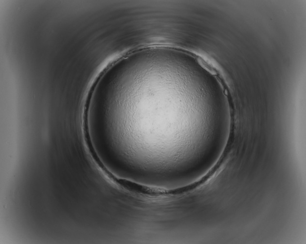 X0000088181333200705221634