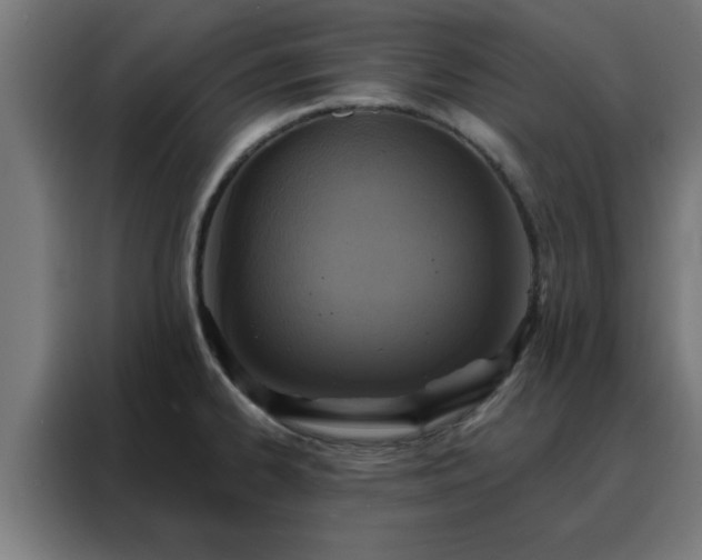 X0000088181334200705221634