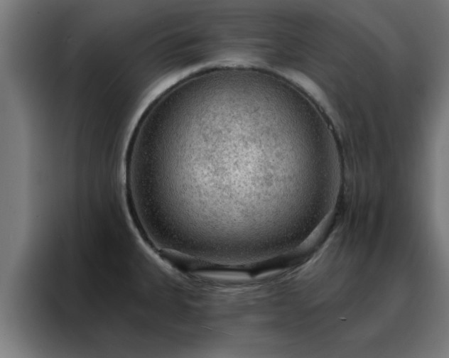 X0000088181335200705221634