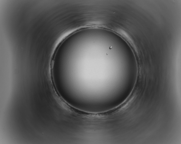 X0000088181336200705221634