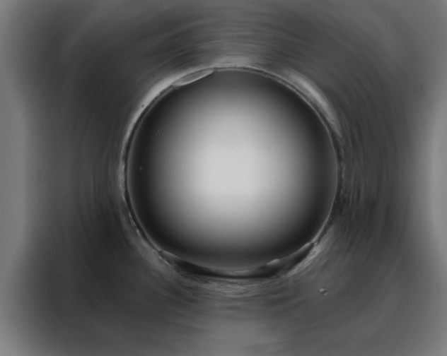 X0000088181340200705221634