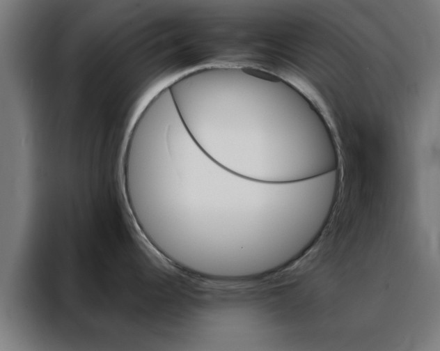 X0000088181344200705221634