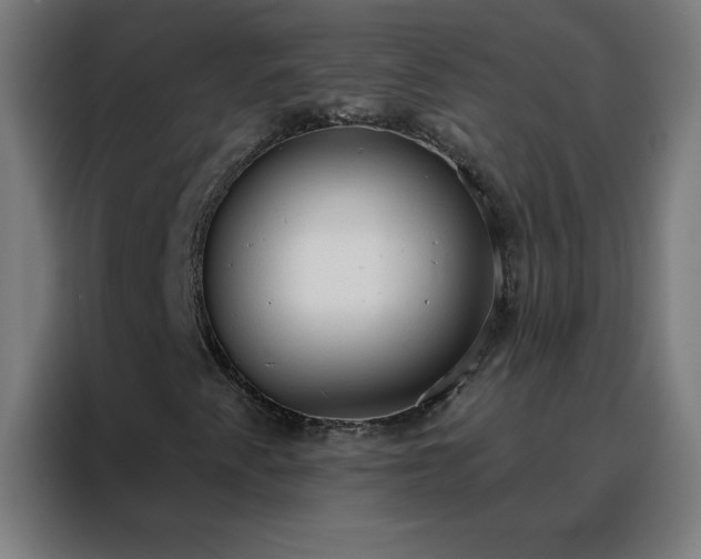 X0000088181345200705221634